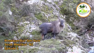 Himalayan Bull Tahr Hunt South Westland - New Zealand (EP 2)