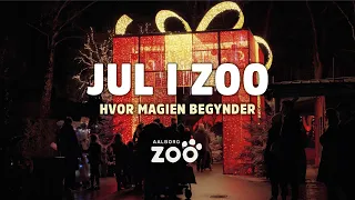 Jul i Zoo 2023 | Hvor magien begynder