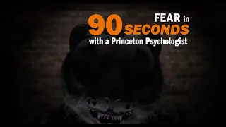 Fear explained in 90 seconds