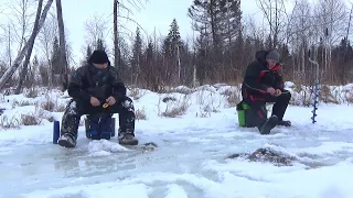 ЛУЧШИЙ НАСТРОЙ НА ХАРИУСА СО ЛЬДА!!! ЛОВЛЮ НА РЕЧКЕ ХАРЮЗОВКЕ!!!