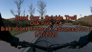 Dead Cow - Suicide Trail - Oak Park, CA - Giant Trance X Advanced Pro 1