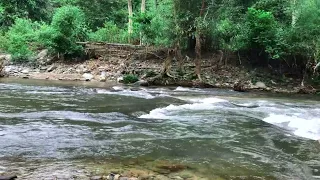 The Fast Flowing River, Wonderful Melody of Nature, Sound of Rushing Water, Washes Away Worries