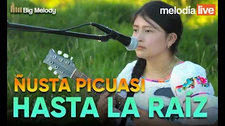 HASTA LA RAÍZ - ÑUSTA PICUASI (MELODÍA LIVE)