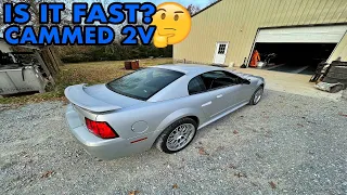 So is a FBO, and CAMMED 2V 4.6 fast? // LETS DRIVE IT