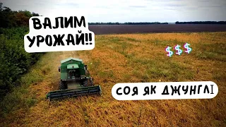 СОЯ ЯК ЛІС❗️ ВИРОСЛО ШОСЬ СТРАШНЕ 😳НЕ ЗНАЄМО ШО РОБИТЬ