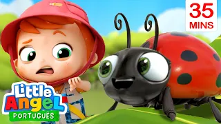 Sai Fora Bicho! Xô, Insetos! 🐜 | 🐛 Canal do Joãozinho - Little Angel Português