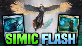 SIMIC FLASH is still as annoying as ever! 【 PIONEER MTG Gameplay 】