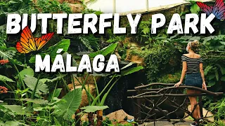 Europe’s Largest Butterfly park in Malaga, Spain | Mariposario de Benalmádena