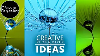 AMAZING PHOTOGRAPHY IDEAS IN 2020 - Dandelion Clocks (3 Photographers 1 Photo)