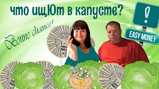 #185 ШИНКУЕШЬ КАПУСТУ - ДУМАЙ О ЗЕЛЕНЫХ / БЫЛЬ О ЛЕГКИХ ДЕНЬГАХ ОТ ООН / НОЧНЫЕ ПРОГУЛКИ И ВАРЕНИКИ