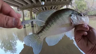 Creek CRAPPIE Fishing From The BANK With Jig & Bobber‼️ November 2023‼️