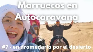 🇲🇦 Qué hacer en MARRUECOS; En dromedario por el Desierto  | Marruecos en Autocaravana #7