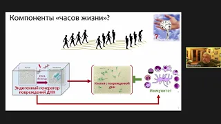 Andrey GUDKOV, Aging as viral pathology?