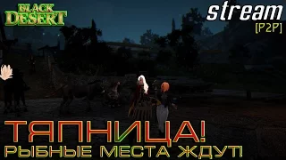 СТРИМ: Black Desert [P2P] Тяпница - 5 новых мест без мусора