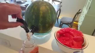 Watermelon Keg Kit | Summer of Doug
