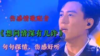 伤感情歌配音《想问情深有几许》DJ版，句句深情，伤感扎心超好听【燕姐情感音乐】