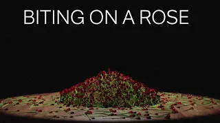 Biting On A Rose-Mother Mother | Lyric Video