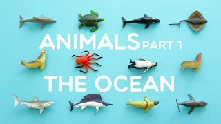 Learning Animals Names and Sounds and more for Kids 2021 - Part 1: The Ocean