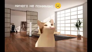 старалась очень долго Мемы про животных и мои будни 😅