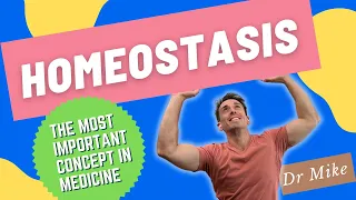 Homeostasis