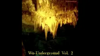 DJ Swarm - Wu-Underground Vol.2 (2000) C.O.I.N.S, Now Born Click Lord Supreme Stranga Wu-Tang Fam