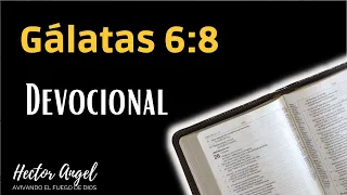 Devocional de hoy.  Gálatas 6:8