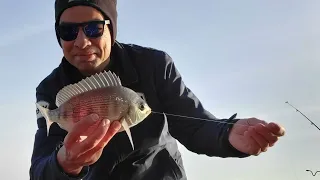 Pèche à fond et tuto montage côte/surfcasting