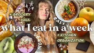 what I eat in a week as a grad student | the EASIEST vegan meals