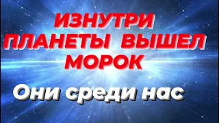 Планета очищается. Низкие вибрации вышли к нам. Меры предосторожности.Алгоритм действий