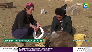 Трудная дорога домой: возвращение памирских кыргызов