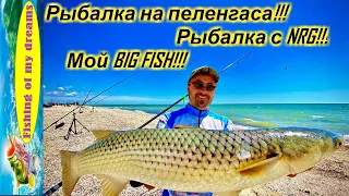 РЫБАЛКА НА ПЕЛЕНГАСА!!!NRG FISHING у нас в гостях!!!Убойные пелики!!!Мой BIG FISH!!!