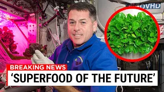 Genetically Modified LETTUCE is The Future Of Food & Drugs In Space!