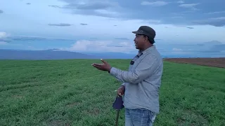 Farming In Narok County