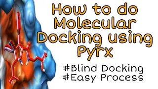 How to do Molecular Docking using PyRx