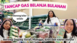 BELANJA BULANAN SE TROLY BESAR‼️ BORONG DAGING HALAL, BUAH & SAYUR MAYUR