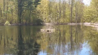 Mysterious Rotating Island in Connecticut