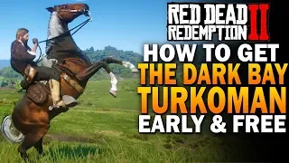 The Dark Bay Turkoman! Get It Early & Free! Red Dead Redemption 2  BestHorses [RDR2]