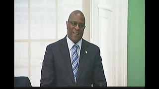 Bahamas Government 2019/2020 Budget Contribution - Michael Pintard, MP (Part 1/2)