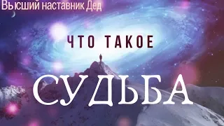 Что такое Судьба?Высший наставник Дед