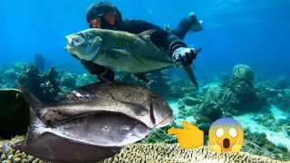 BLUE FIN TREVALLY!!! BANTON SPEARFISHING'PHILIPPINES