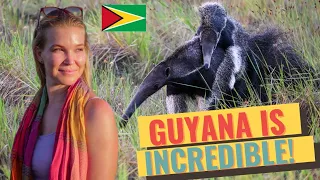 GUYANA | WAIKIN RANCH & KARANAMBU LODGE |  What is Guyana really like? 4K
