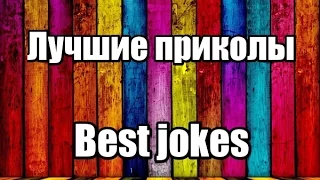 ЛУЧШАЯ ПОДБОРКА ПРИКОЛОВ С ЖИВОТНЫМИ 2016 | Best collection Jokes WITH ANIMALS 2016