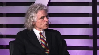 Steven Pinker on the Future of Violence | Conversations with Tyler