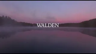 Walden Film