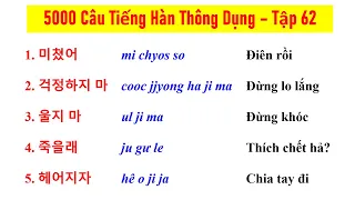 [Tập 62] - 5000 CÂU TIẾNG HÀN NGẮN THÔNG DỤNG | 실제로 자주 쓰는 한국어 문장들