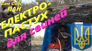 ЕЛЕКТРОПАСТУХ Для свиней #СамСобіПан