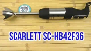 Распаковка SCARLETT SC-HB42F36