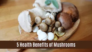 5 Health Benefits of Mushroom