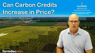 Carbon Markets 101: Can carbon credits increase in price?