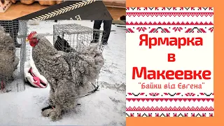 Ярмарка Голубей, певчих и экзотических птиц в Макеевке . Суббота 13.03.21г.